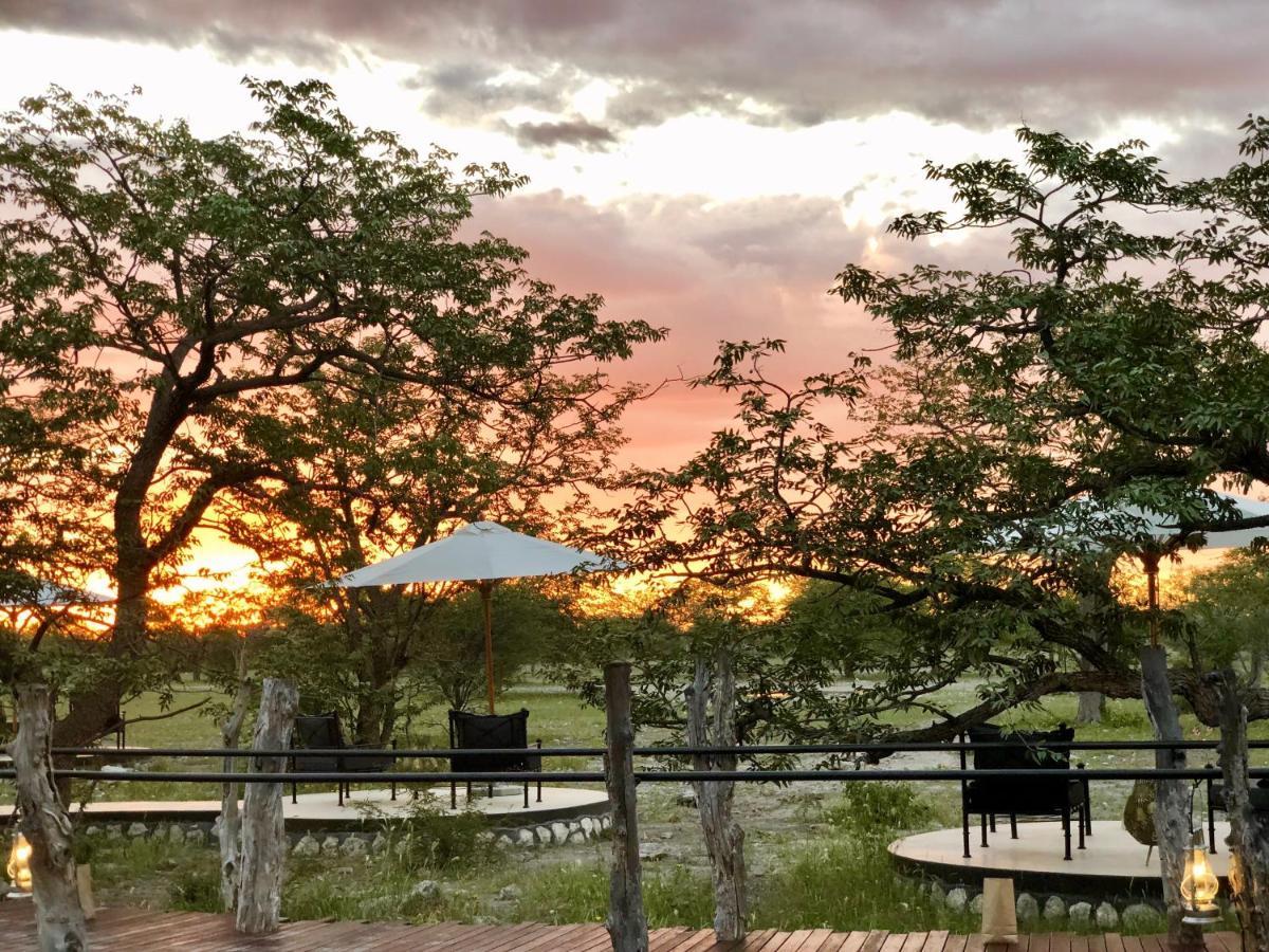 Etosha Oberland Lodge Okaukuejo Eksteriør bilde